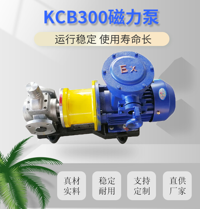 <strong>KCB300磁力泵</strong>